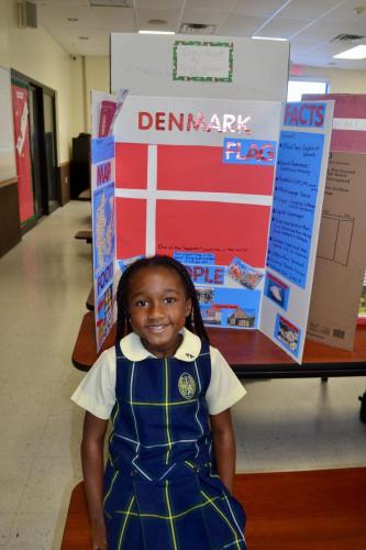 social studies fair