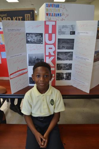 social studies fair
