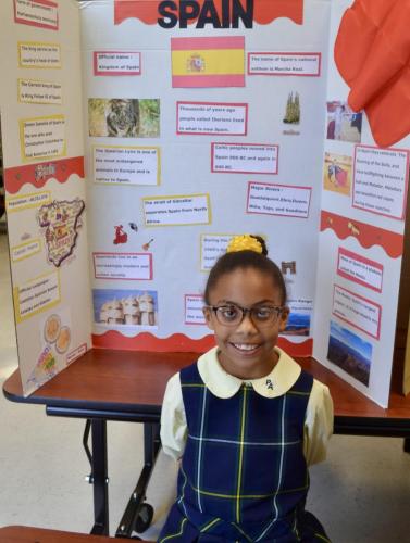 social studies fair
