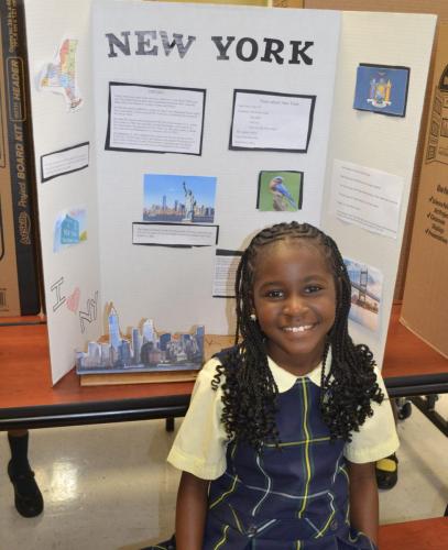 social studies fair