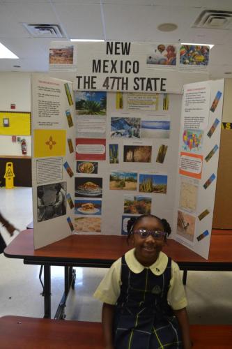 social studies fair