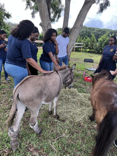 rescue farm field trip