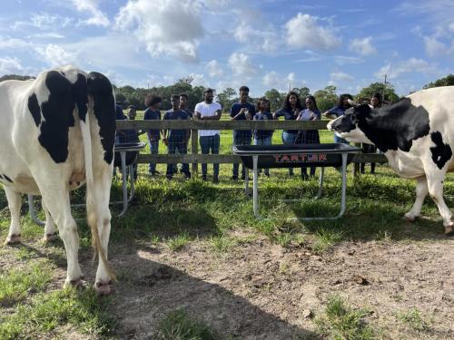 rescue farm field trip