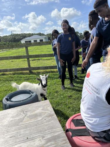 rescue farm field trip