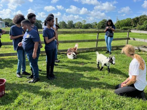 rescue farm field trip