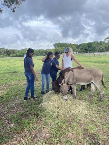 rescue farm field trip
