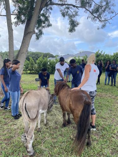 rescue farm field trip