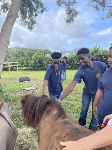 rescue farm field trip