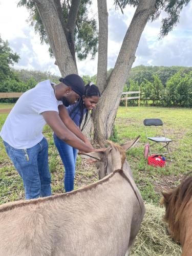rescue farm field trip