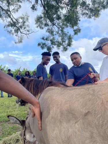 rescue farm field trip