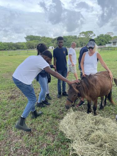 rescue farm field trip